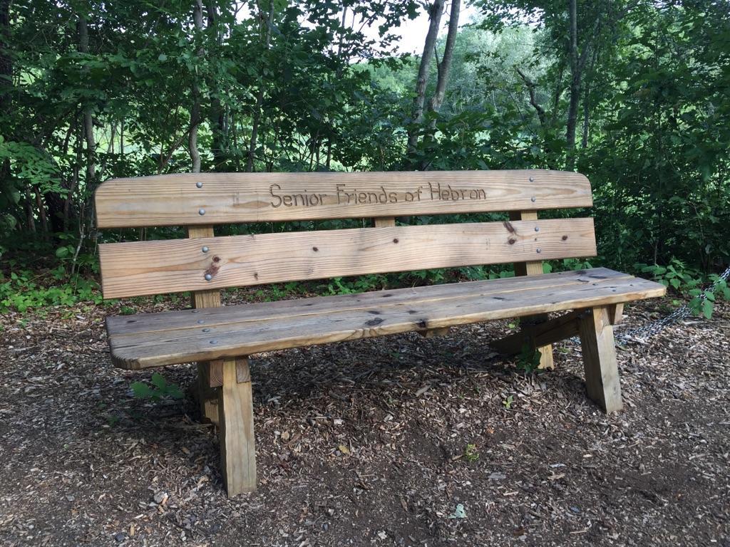 A rustic wooden bench rests on a mulched forest floor, surrounded by green trees.