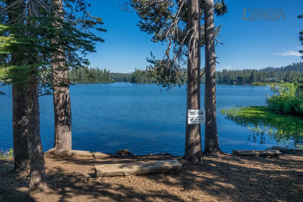 Sunny view of a blue lake through tall pine trees, with a dog park sign.
