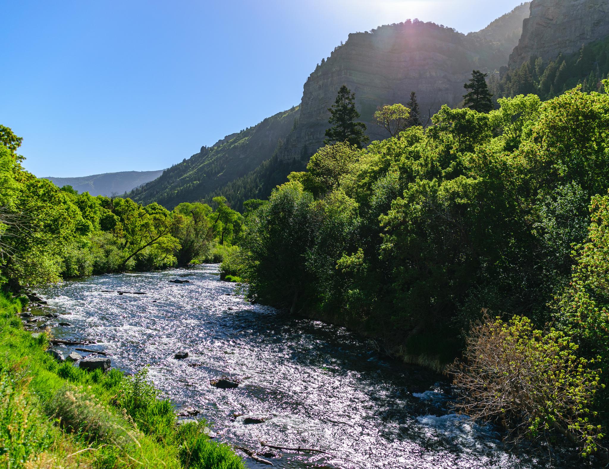 Bright sun shines over a river in a lush green mountain valley.