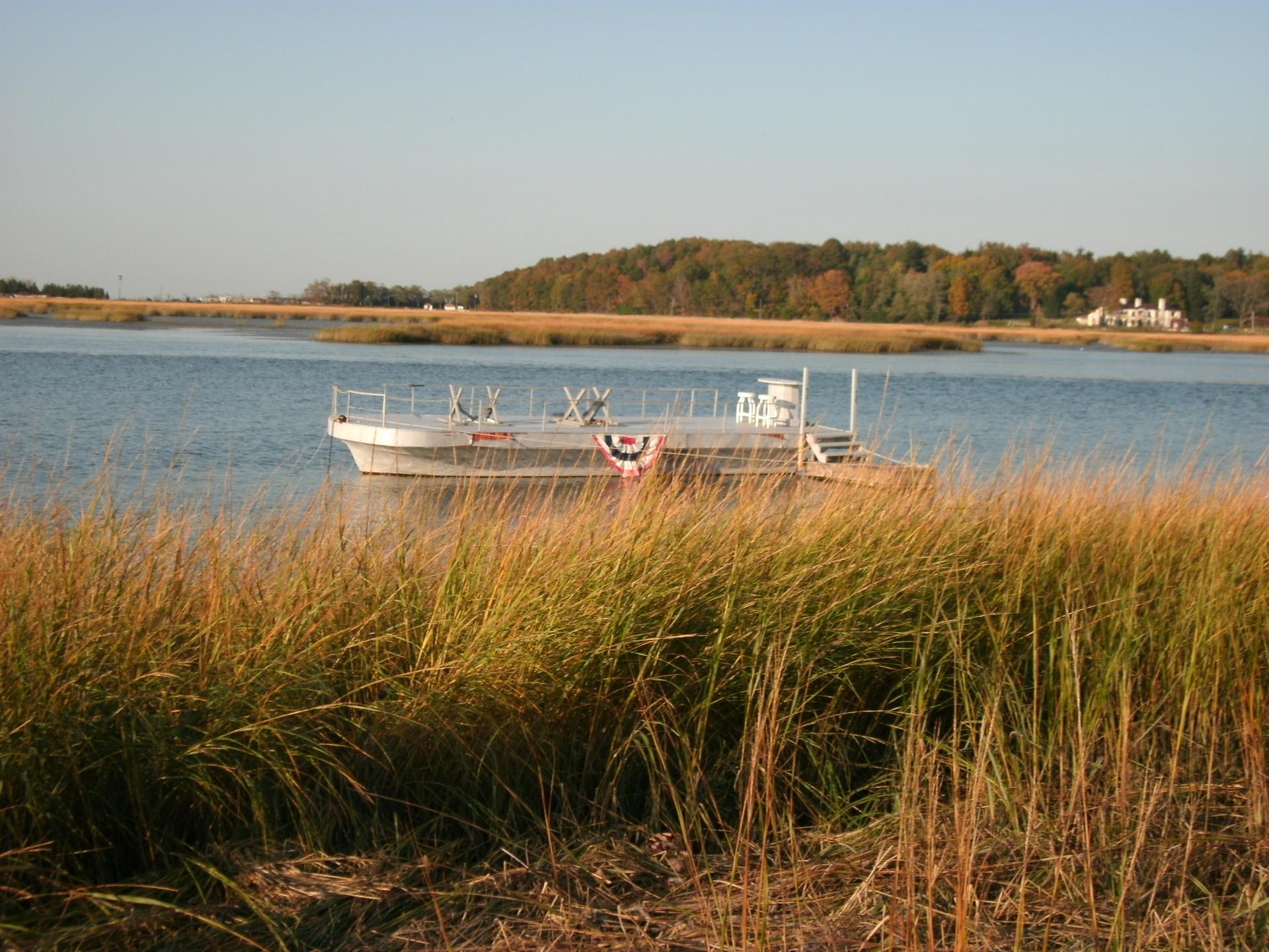 A boat floats on calm water behind tall golden marsh grass.