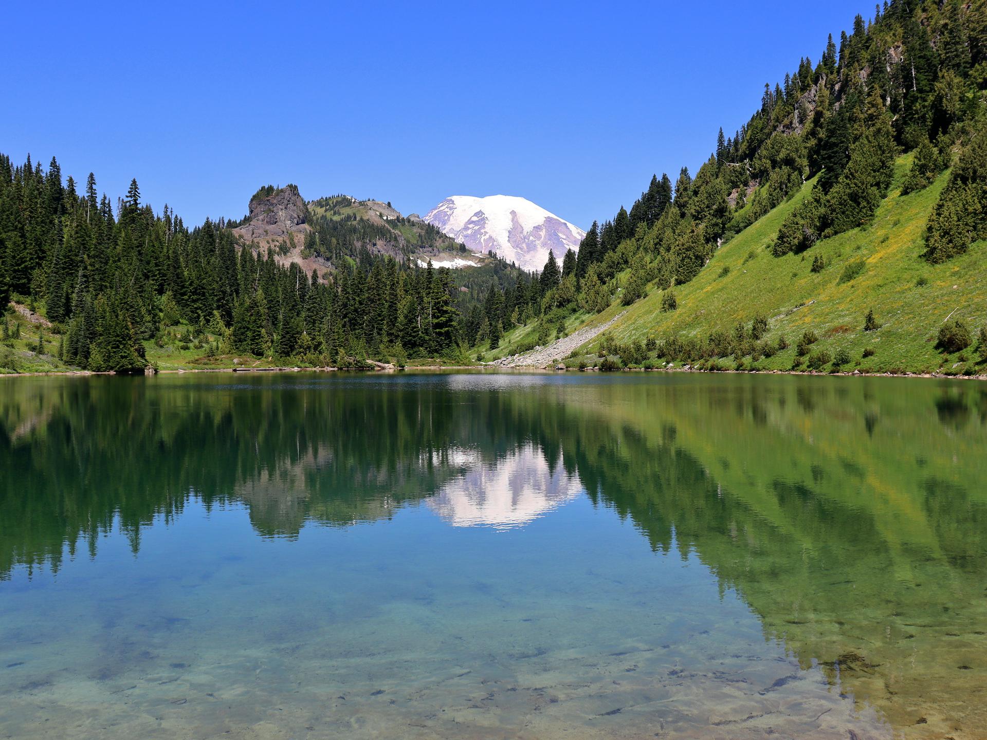 A clear mountain lake reflects a snow-capped peak and green forests.