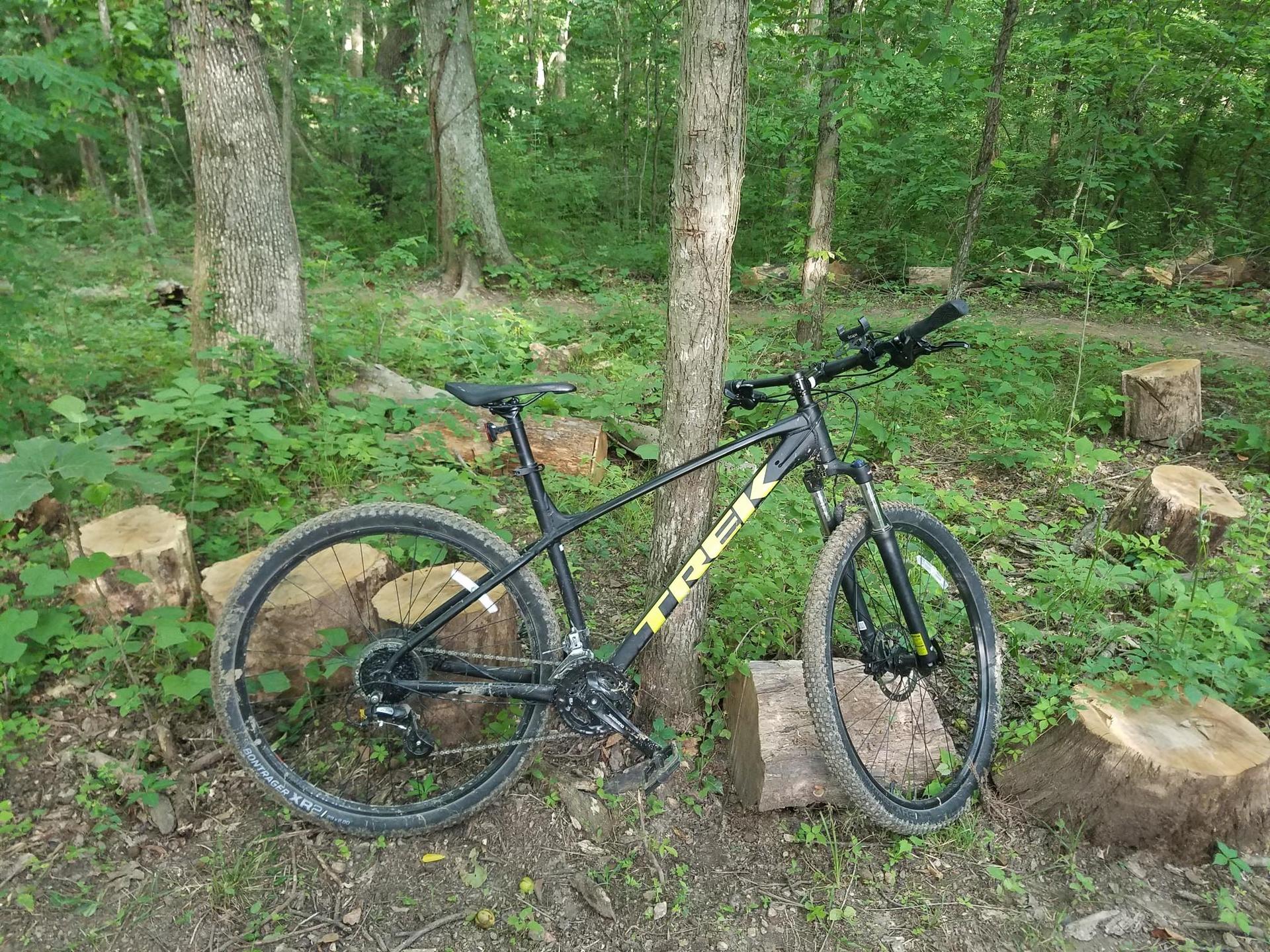 Black mountain bike parked against a tree in a green forest with stumps.