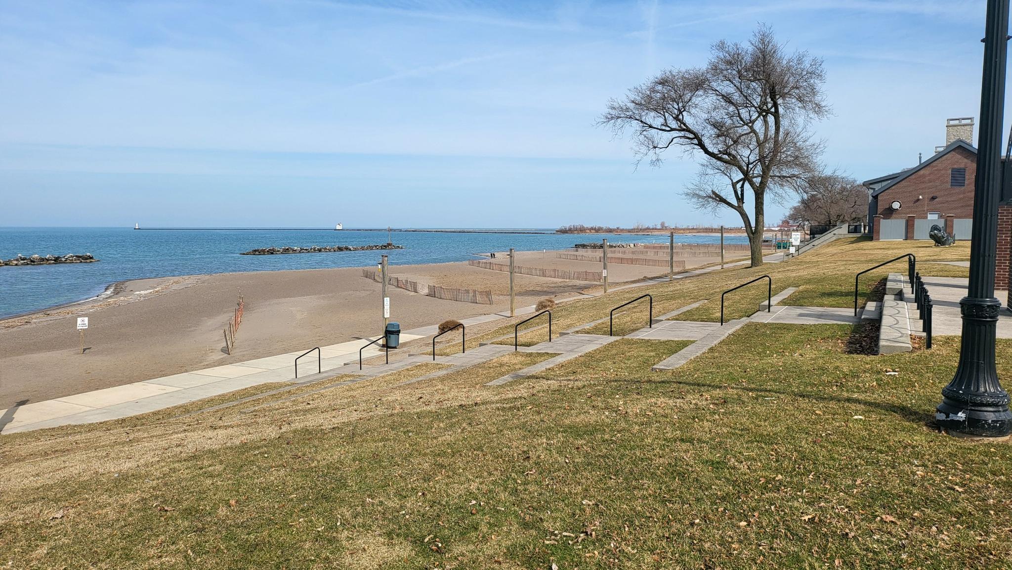 Sunny beach with a bare tree, calm ocean, and grassy slope.