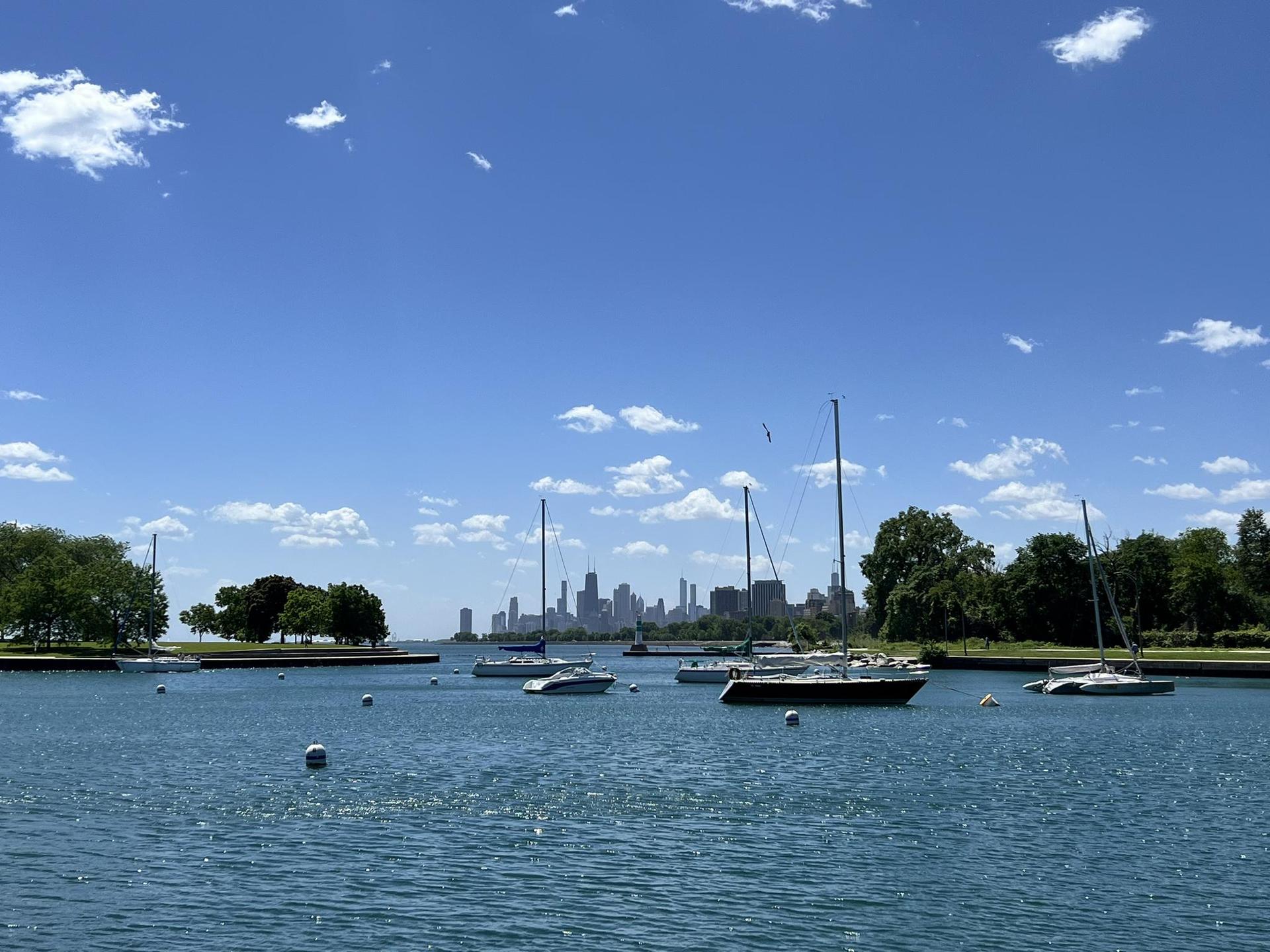 Sunny day with sailboats in a harbor and a distant city skyline.