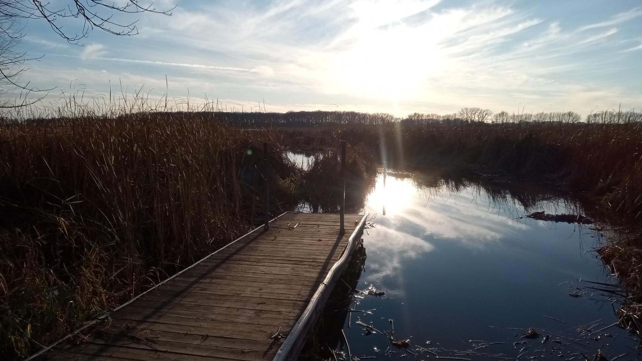 Wooden dock extending into a marshy waterway with bright sun reflections.