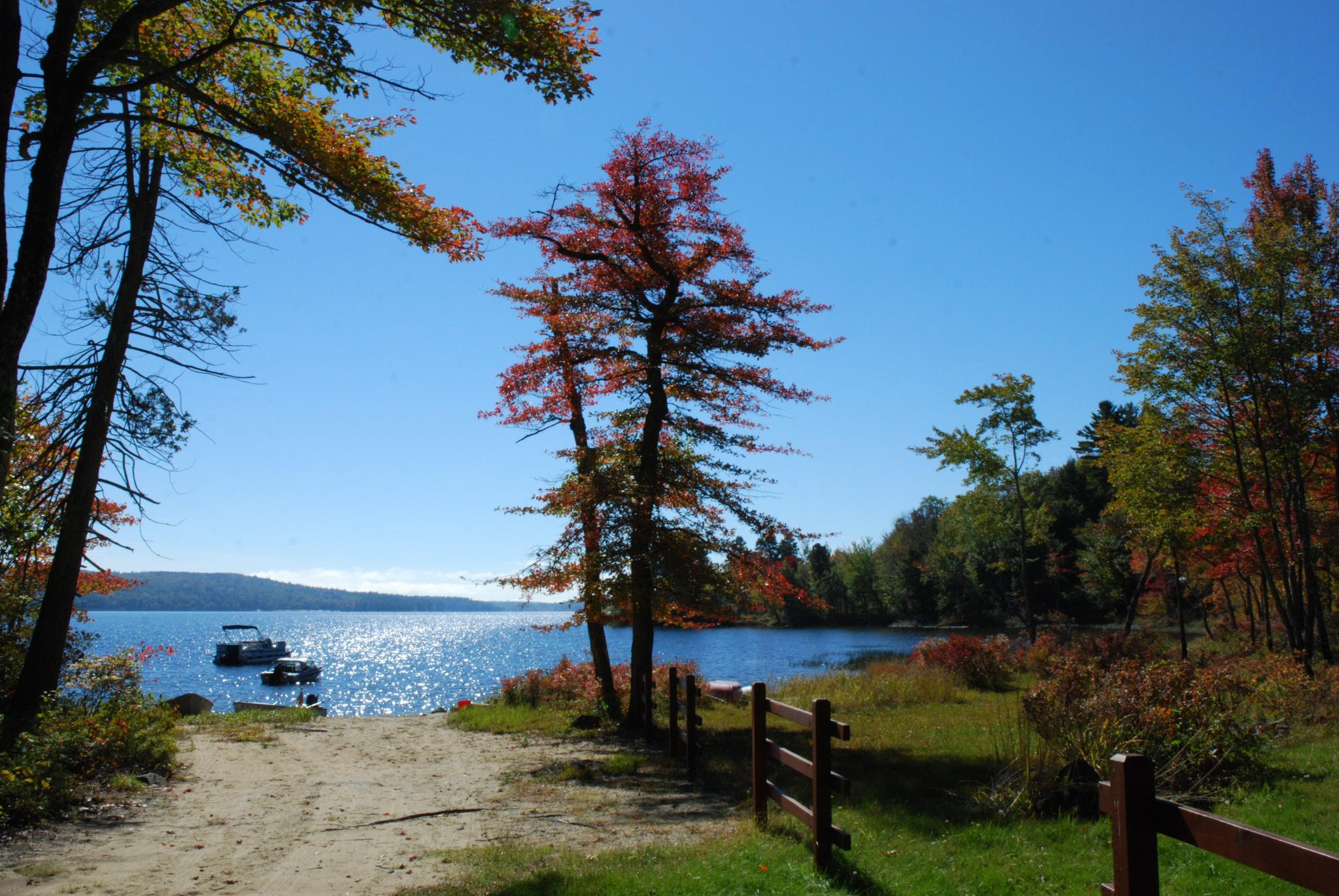 Sunny autumn day at a lake with colorful trees and boats docked.