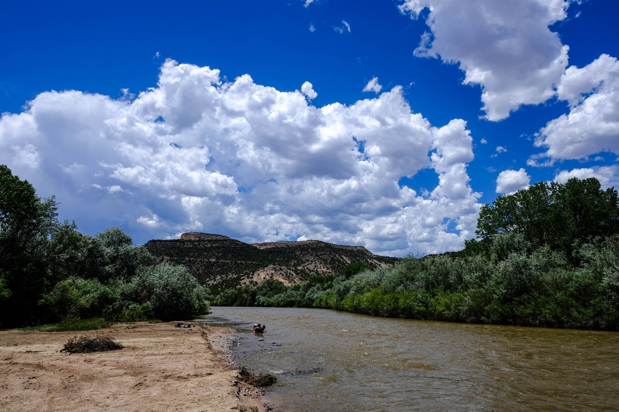 A wide river flows past green trees and a sandy bank under a dramatic sky. - Dot-to-Dot Loop