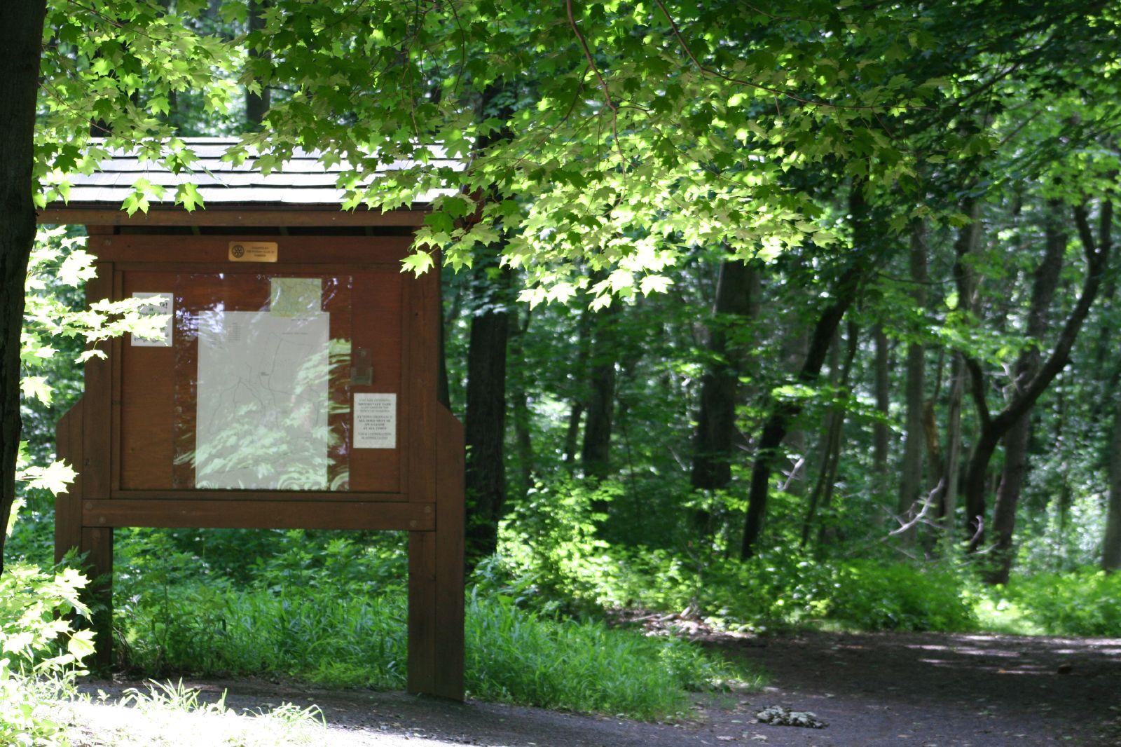 Wooden information board on a paved path in a sunlit forest.