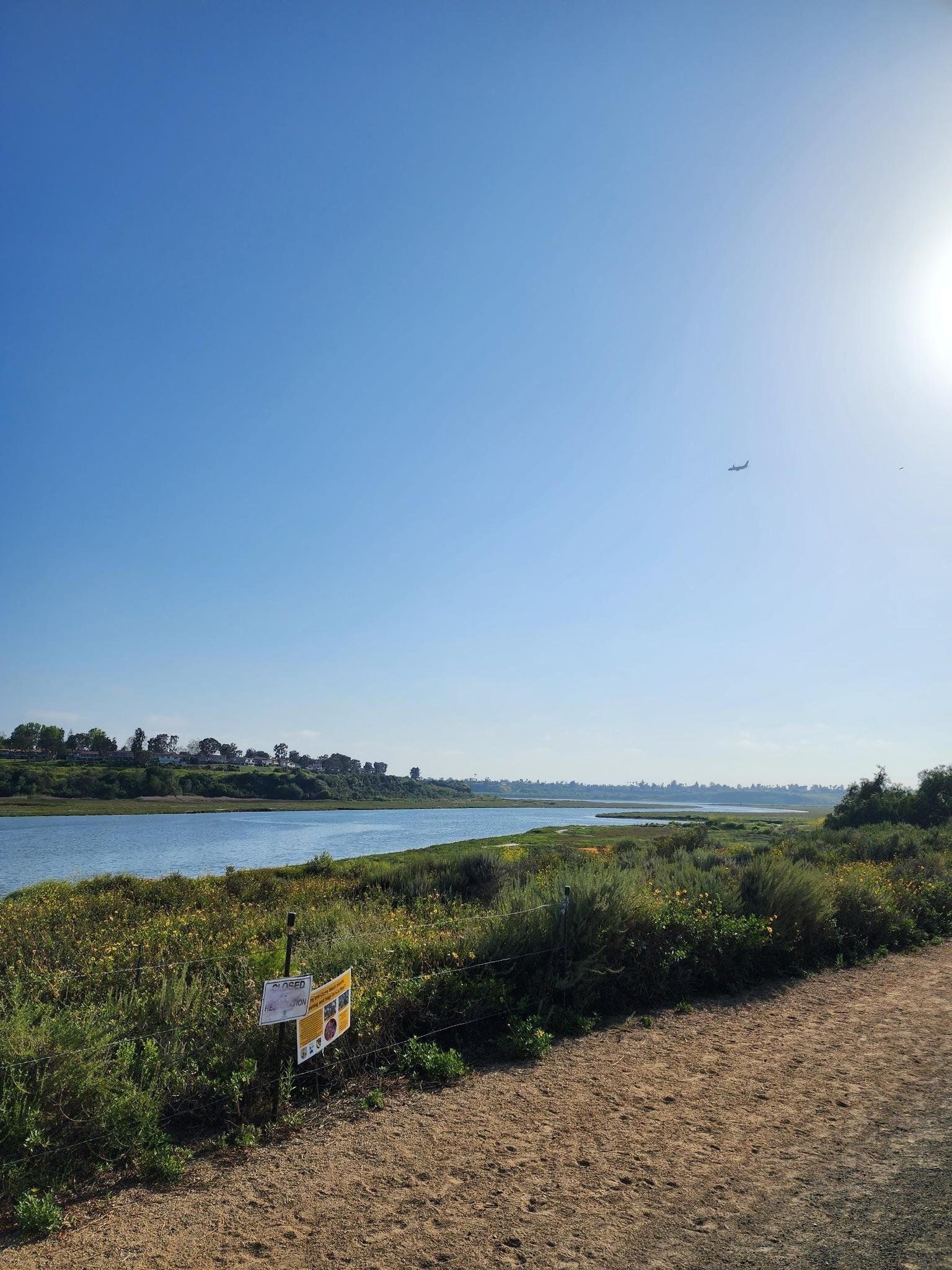 Sunny wetland landscape with water, green plants, a dirt path, and a distant airplane. - Back Bay Loop Trail