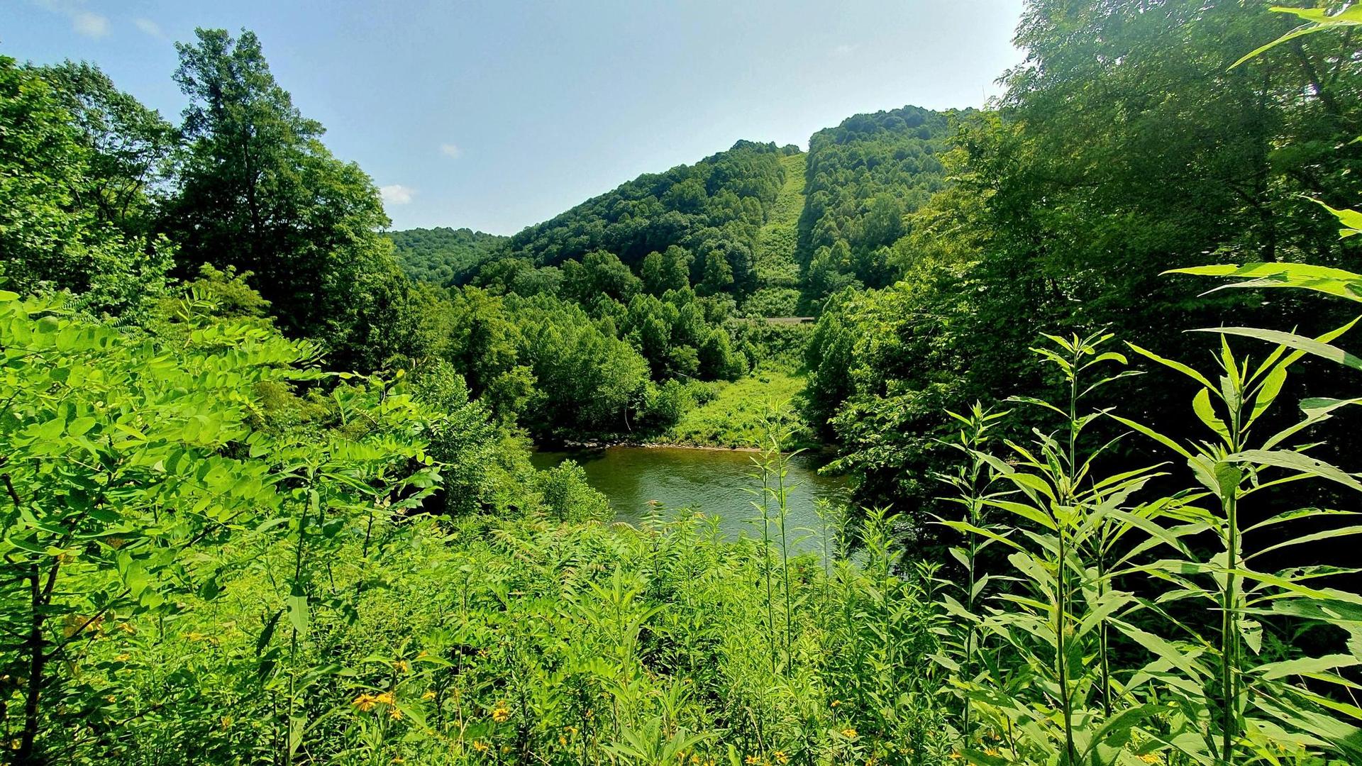 Serene river surrounded by vibrant green foliage and distant hills.