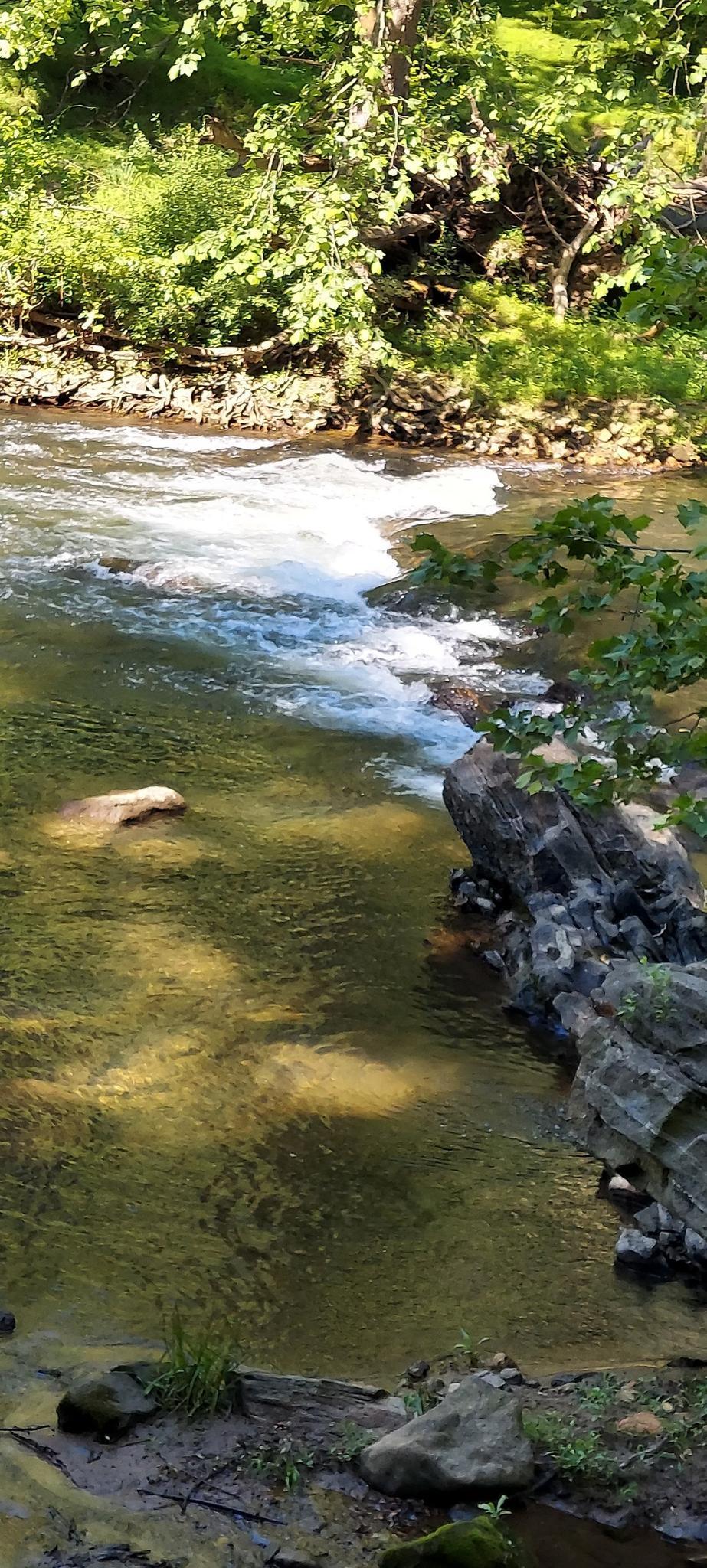 A clear river with small rapids flowing past rocky banks.