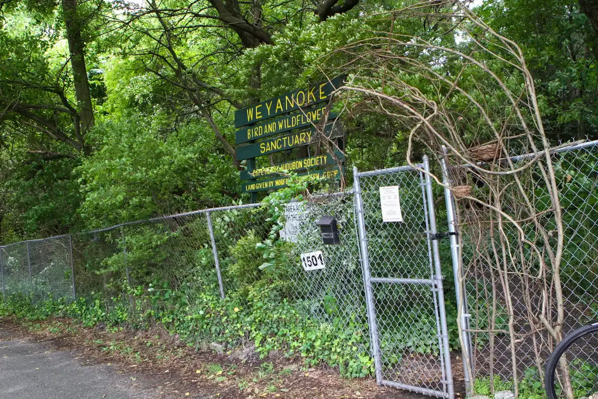 Wooden sign for a bird sanctuary behind a chain-link fence and foliage.