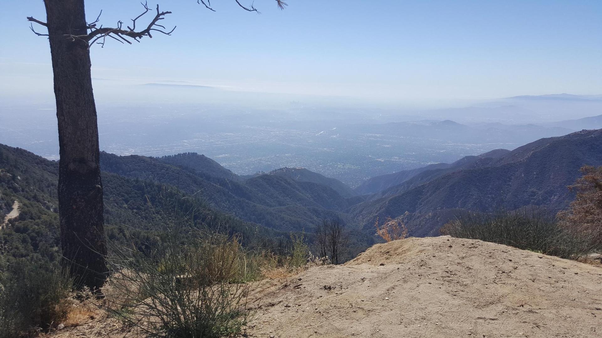 Hazy valley view from a mountain peak with a tree trunk in foreground.
