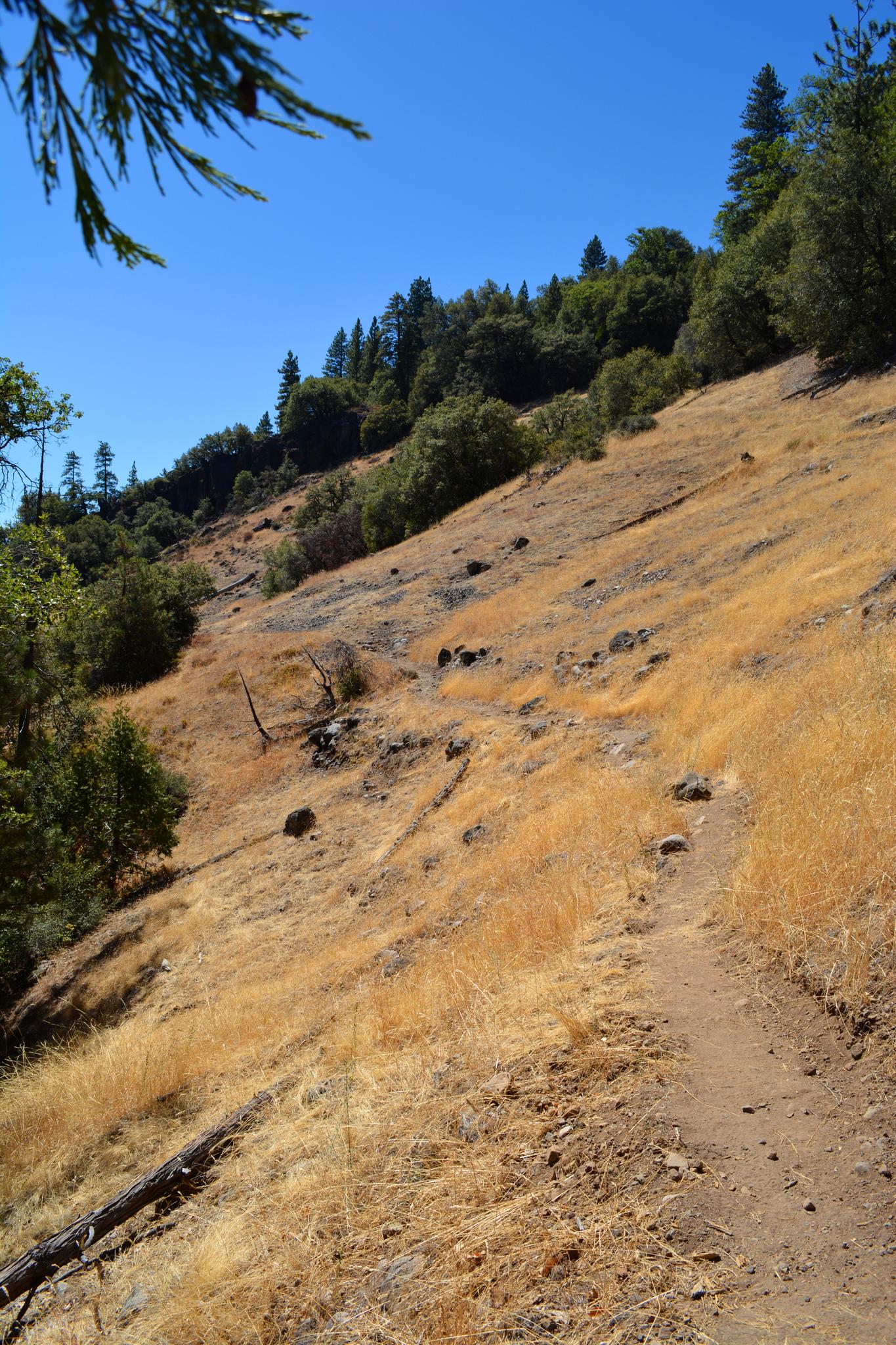 A winding dirt trail ascends a sunlit, dry grassy hillside with green trees.