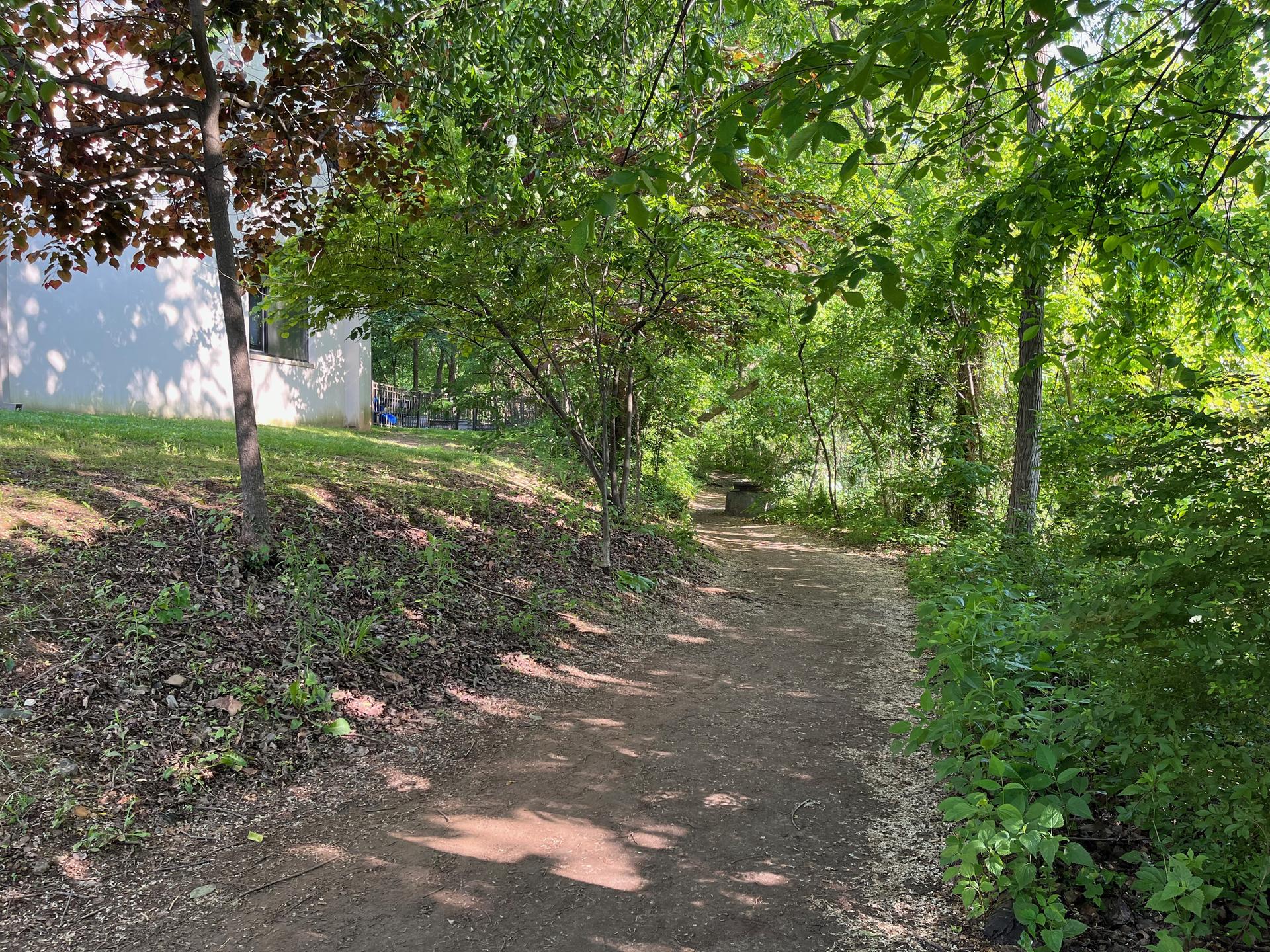 A sun-dappled dirt path leads into a dense green wooded area.