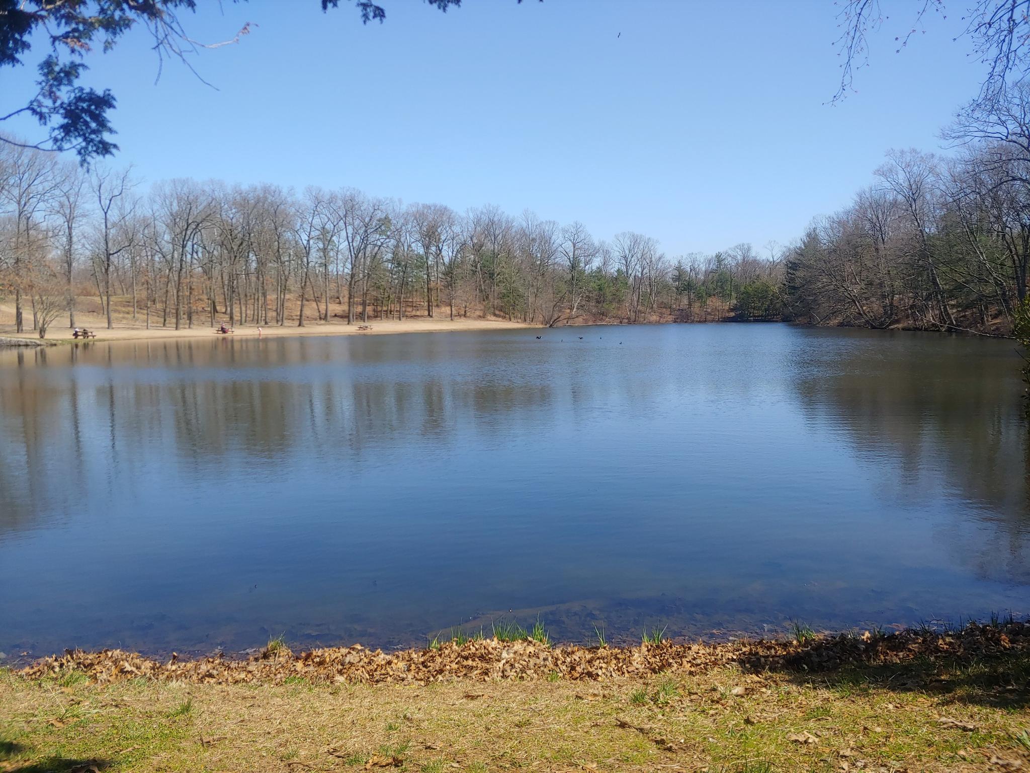 Sunny day over a tranquil lake with bare trees and distant people.