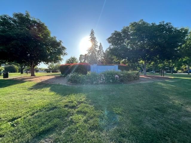 A sunny park with green grass, large trees, and a central monument.