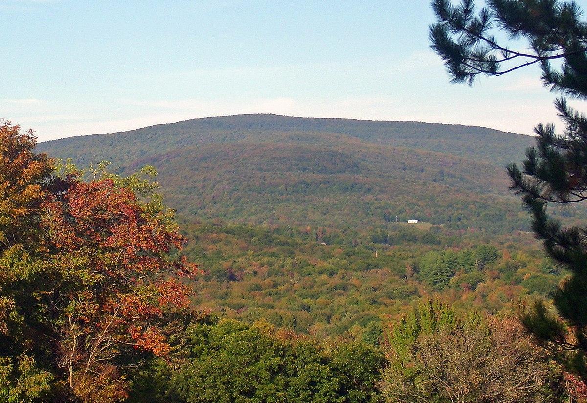 Autumn trees frame a vast forested mountain landscape under a clear sky.
