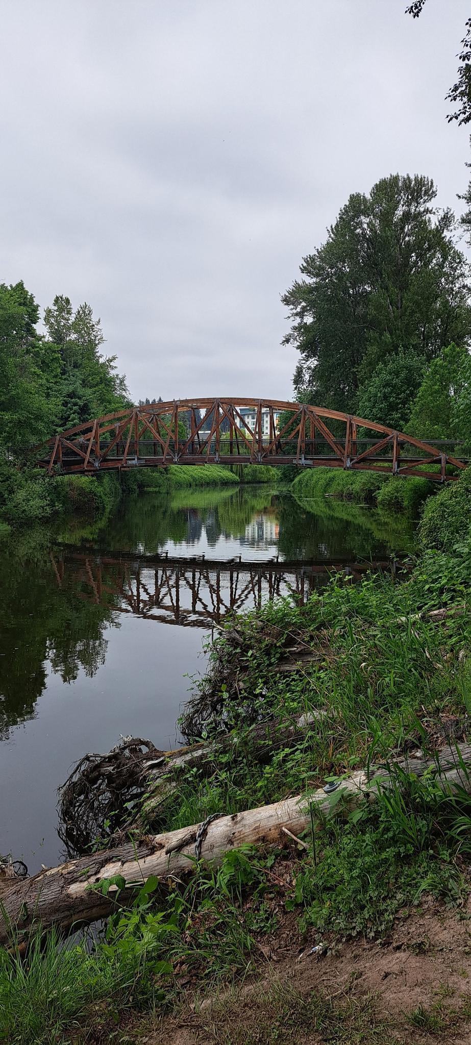 Wooden bridge spans a calm river surrounded by lush green trees under an overcast sky.