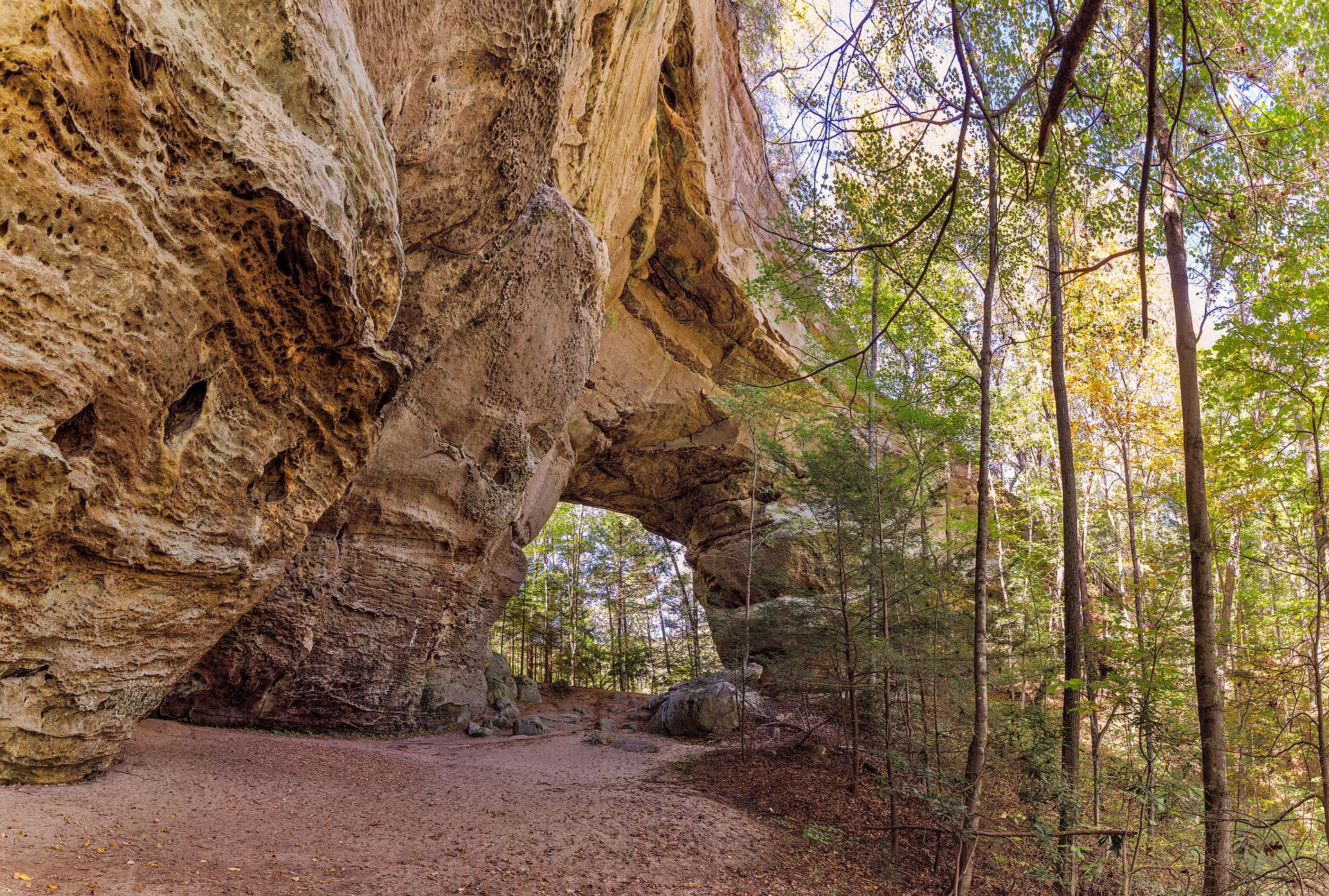 A grand natural rock arch and overhang in a sun-dappled forest.
