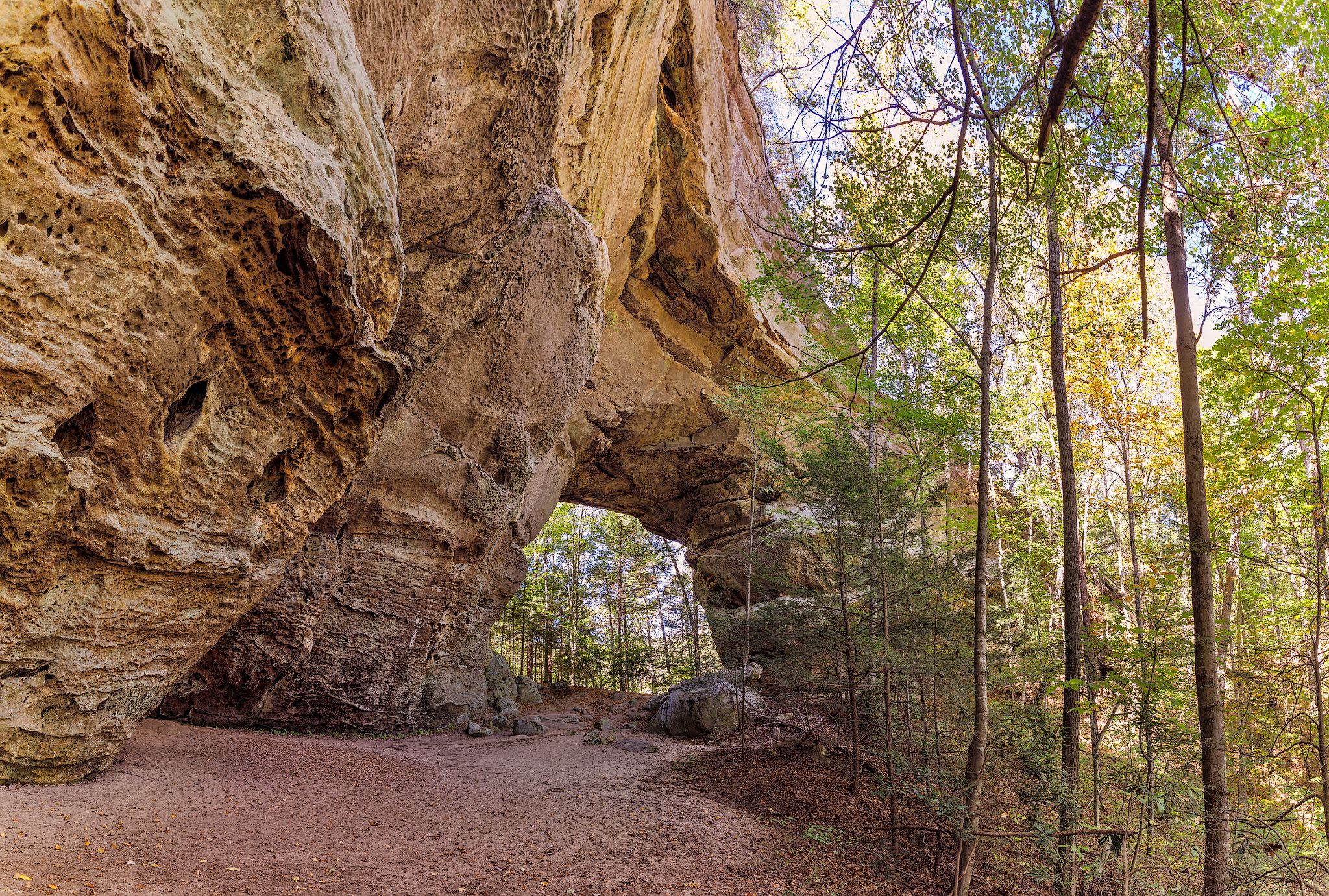 A grand natural rock arch and overhang in a sun-dappled forest. - Twin Arches Loop Trail