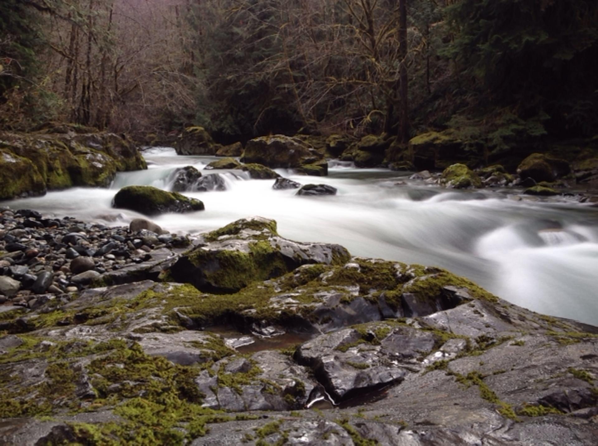 A long exposure shot of a rushing river with moss-covered rocks in a dark forest.