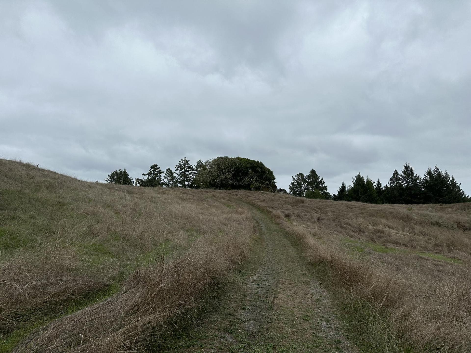 A dirt path winds through dry grassy hills under a cloudy sky.