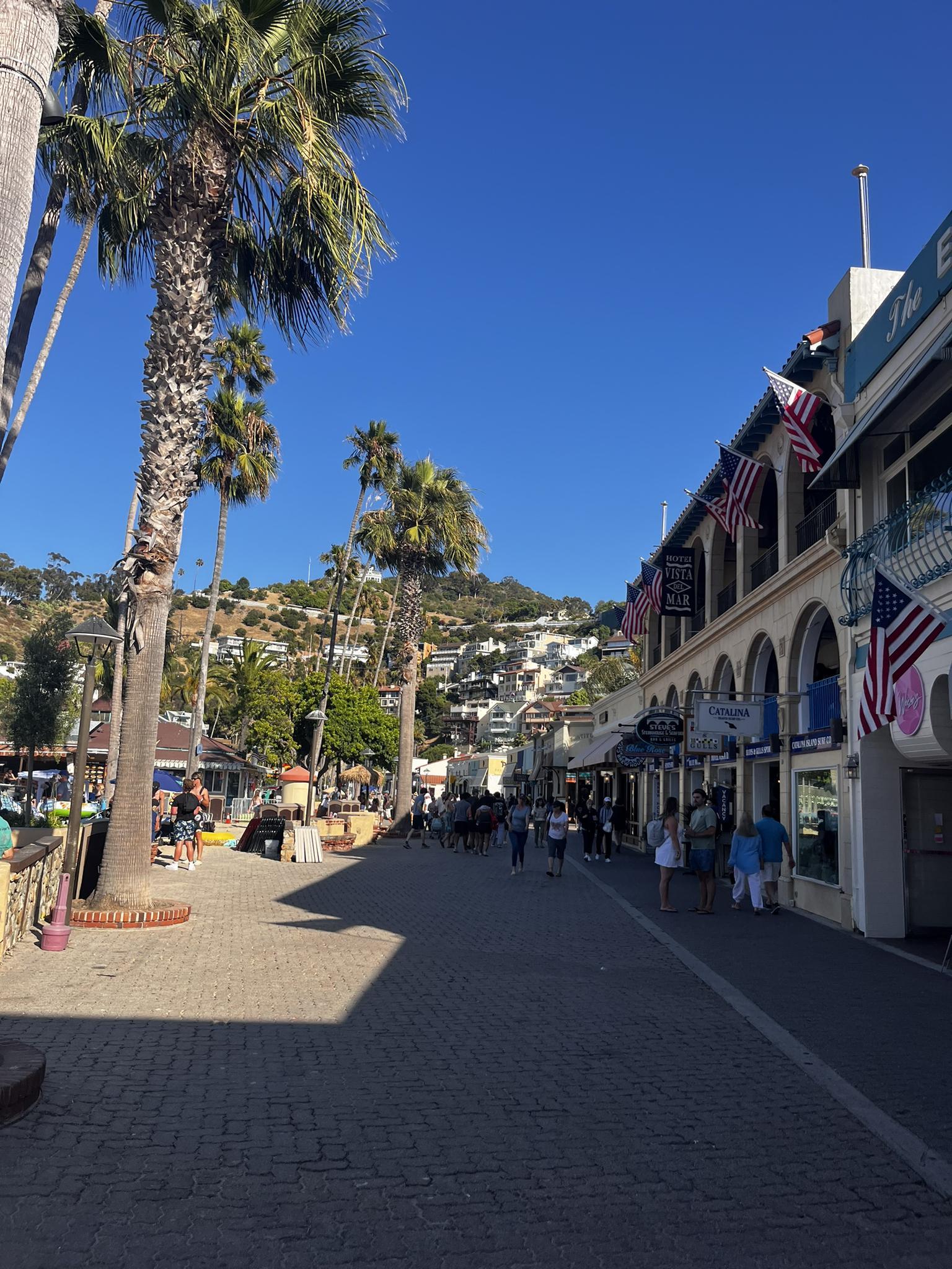 Busy street with people, palm trees, and buildings on a sunny day.