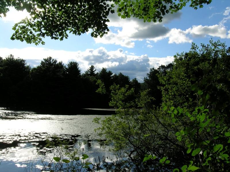 Sunlit lake reflecting clouds, framed by dark forest and bright green foliage.