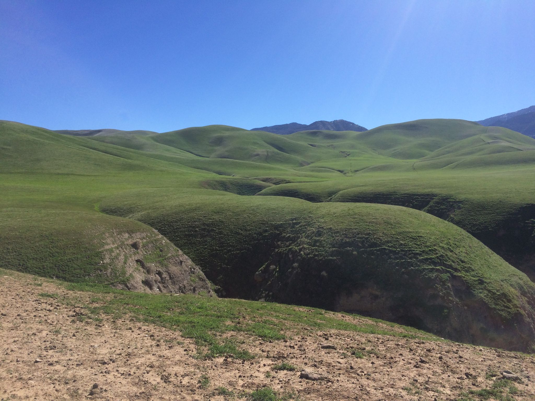 Rolling green hills and valleys under a bright blue sky. - El Camino Viejo Bike Trail