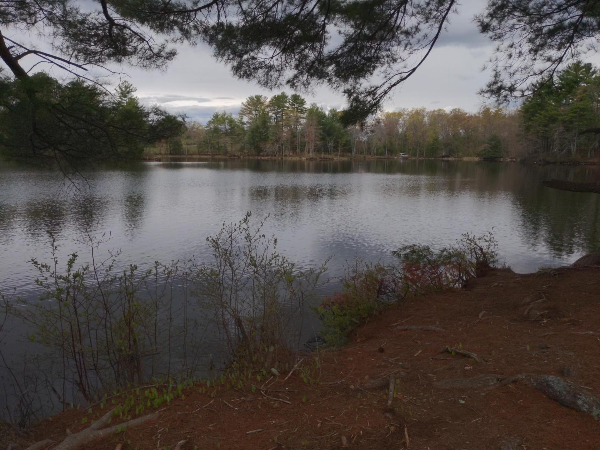 Dark lake surrounded by dense forest under a cloudy sky.