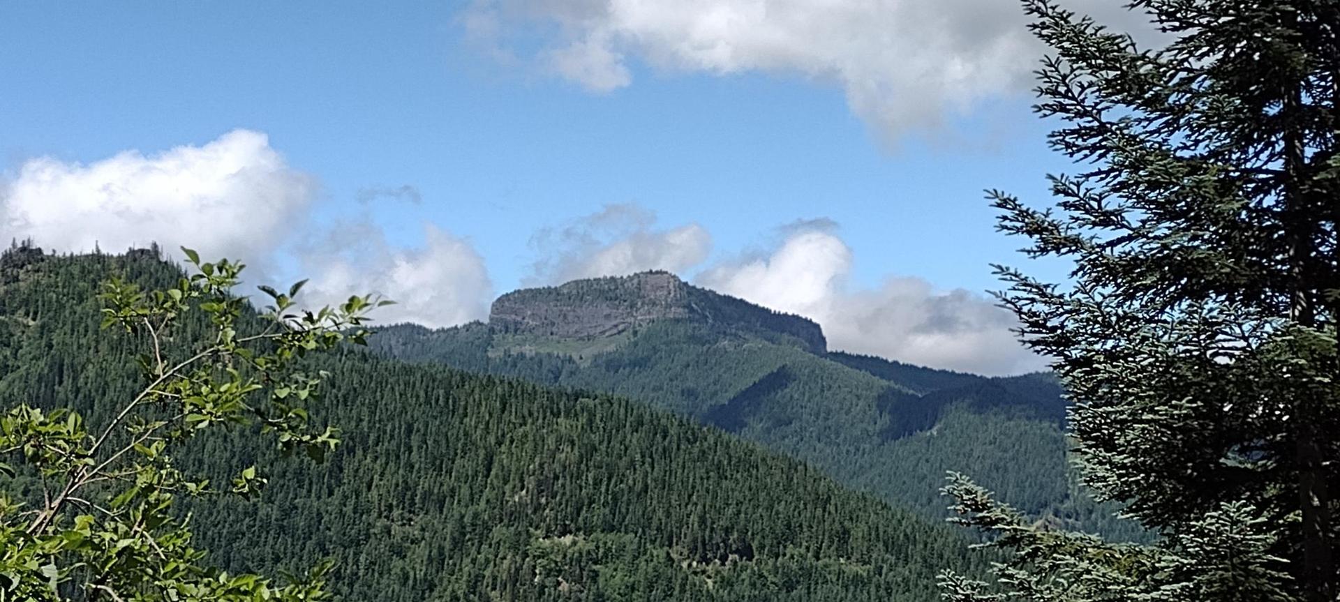 Distant flat-topped mountain peak visible through green forest under blue sky.