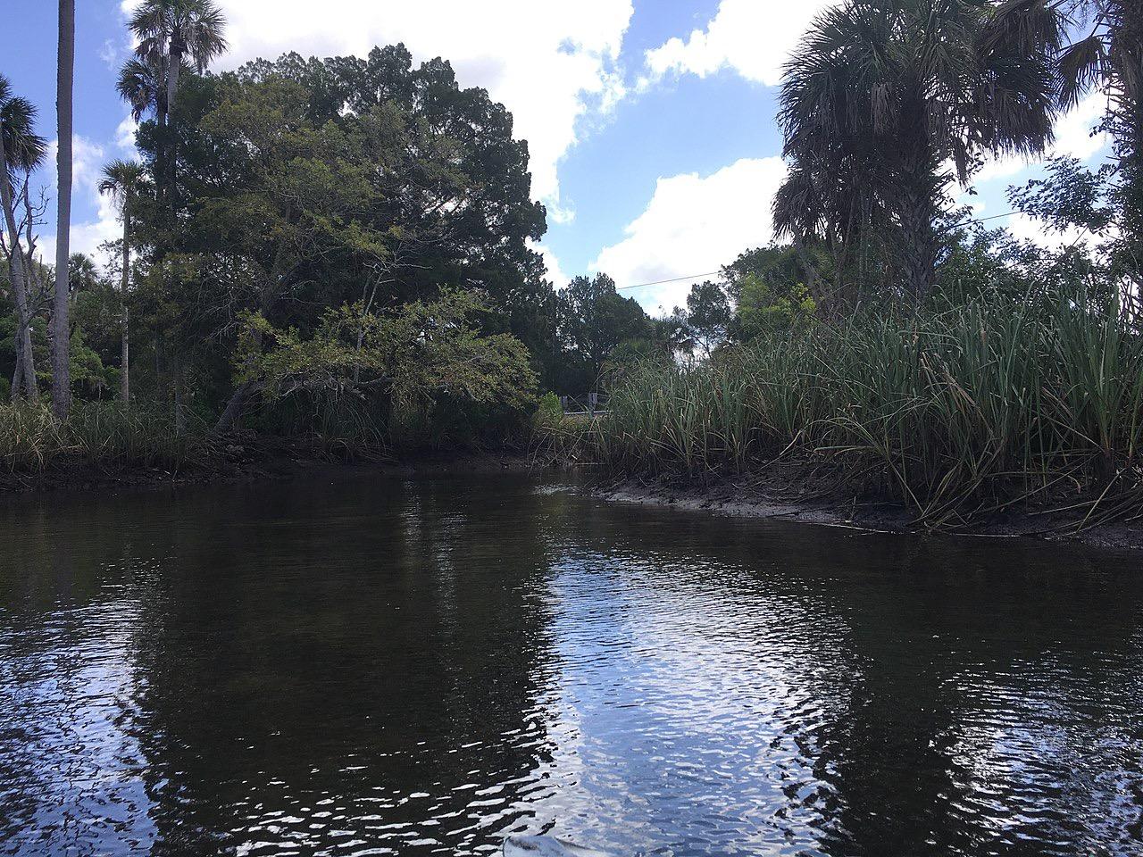 Narrow river with lush green banks, palm trees, and bright sky reflections.
