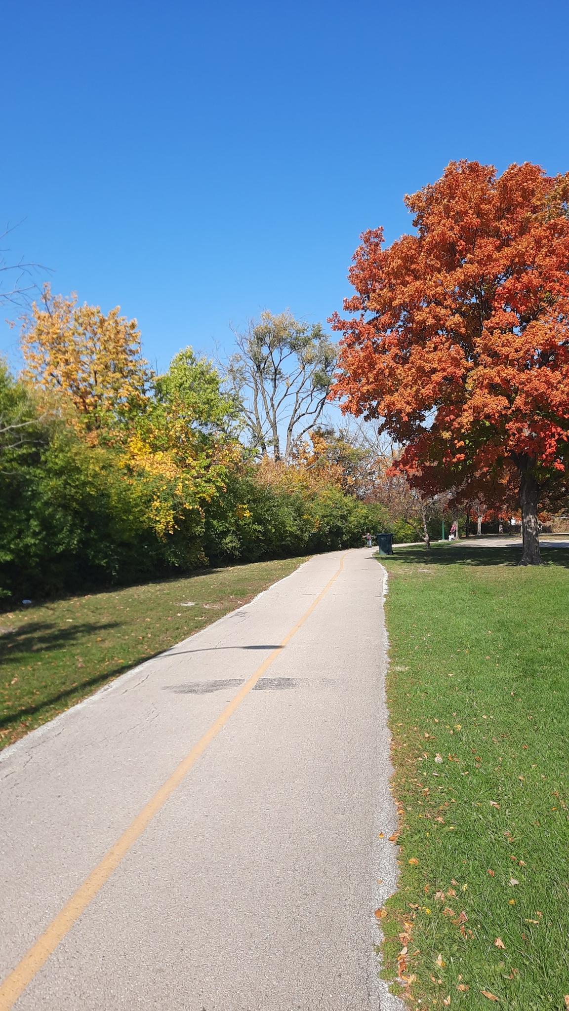 A paved path with a yellow line, flanked by autumn trees under a blue sky.