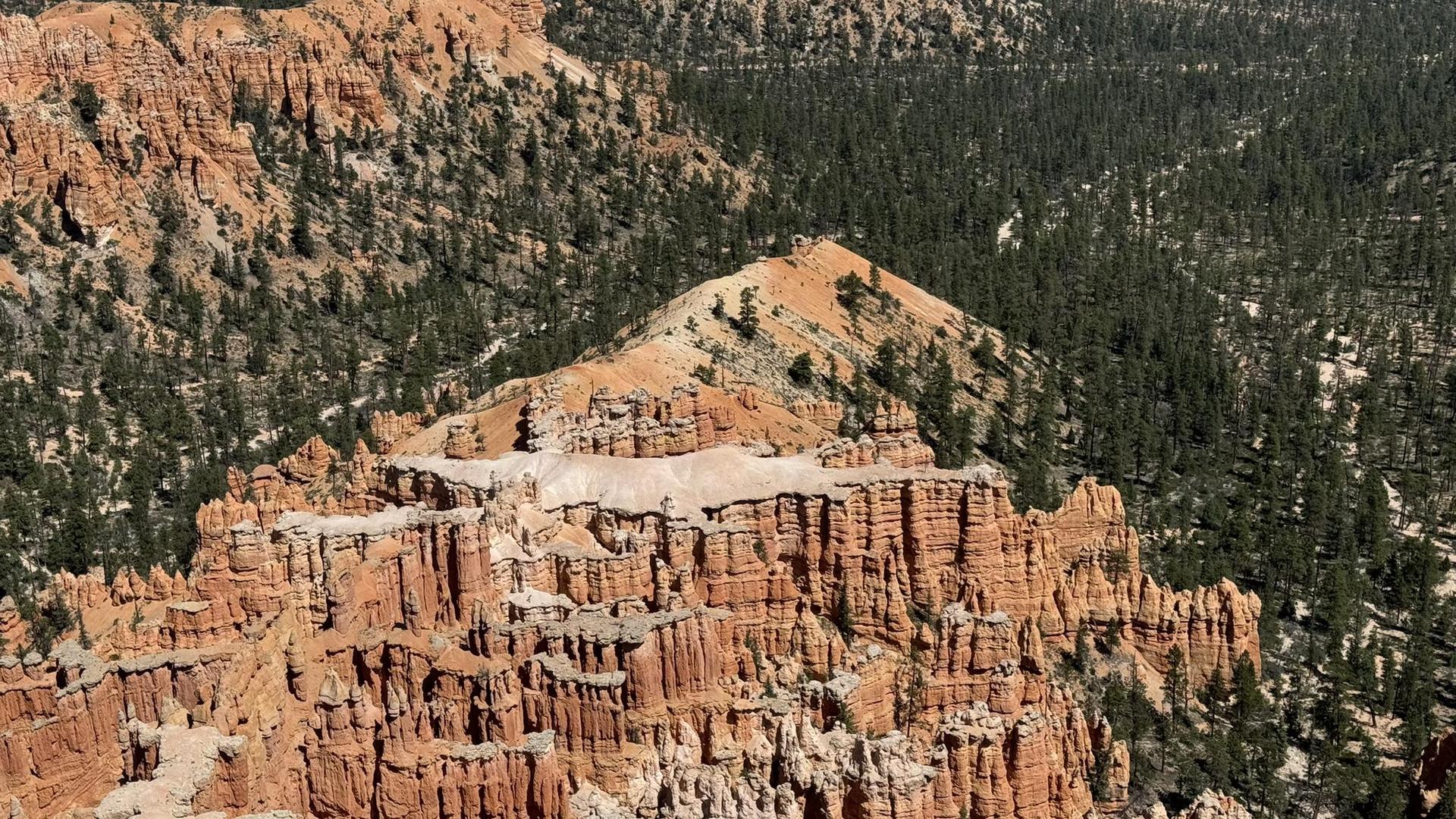 Aerial view of red rock formations surrounded by a dense green pine forest.