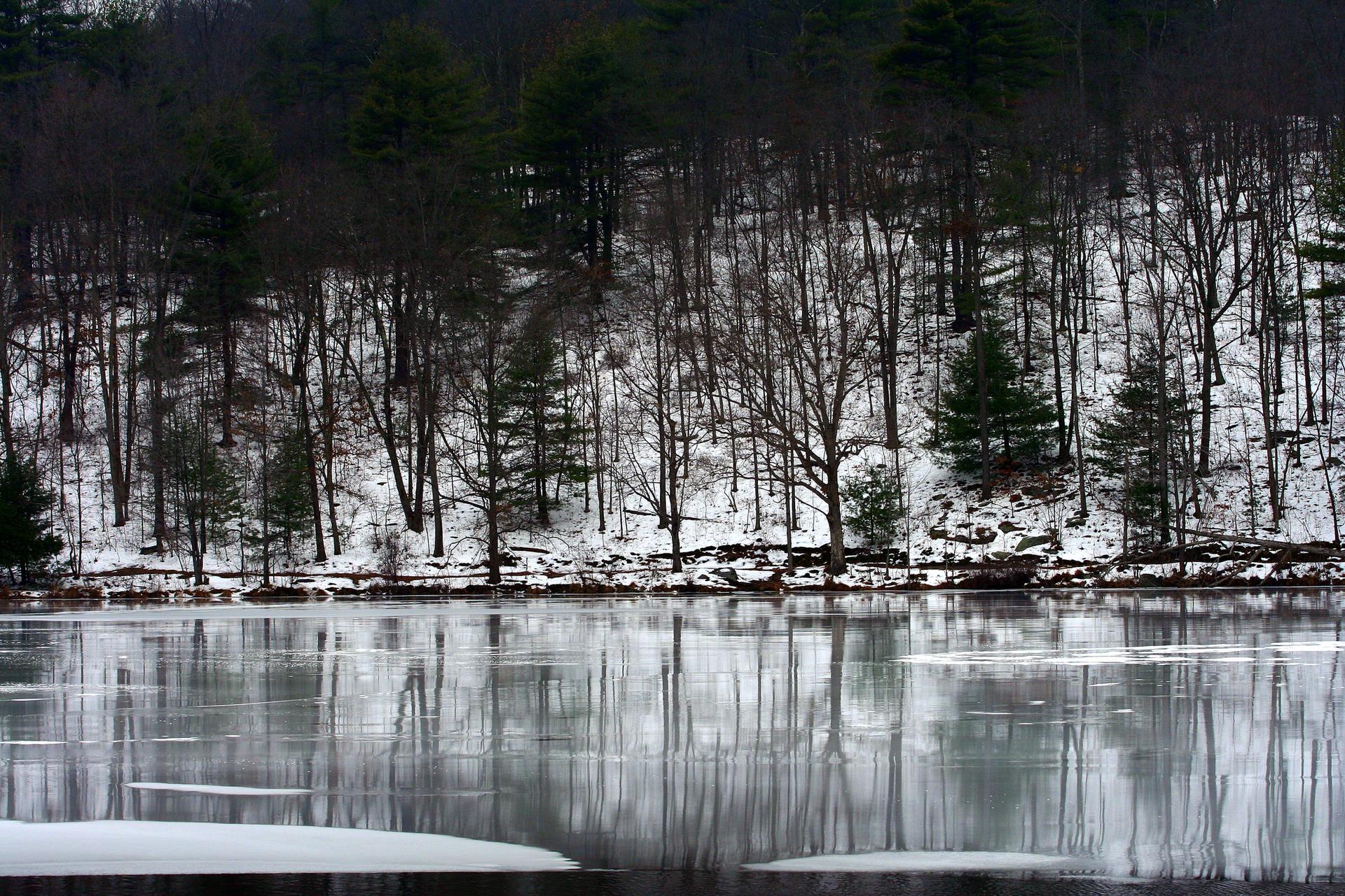 An icy lake reflects a snow-covered forest with bare trees under a gray sky.