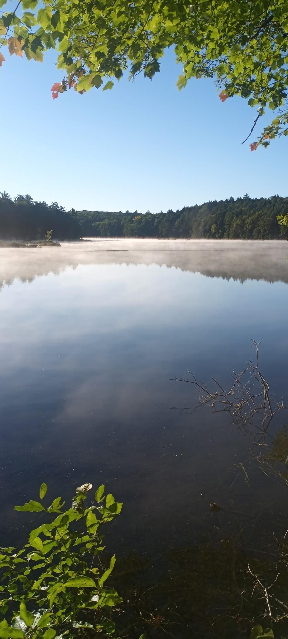 A serene lake with morning mist rising, framed by green foliage.