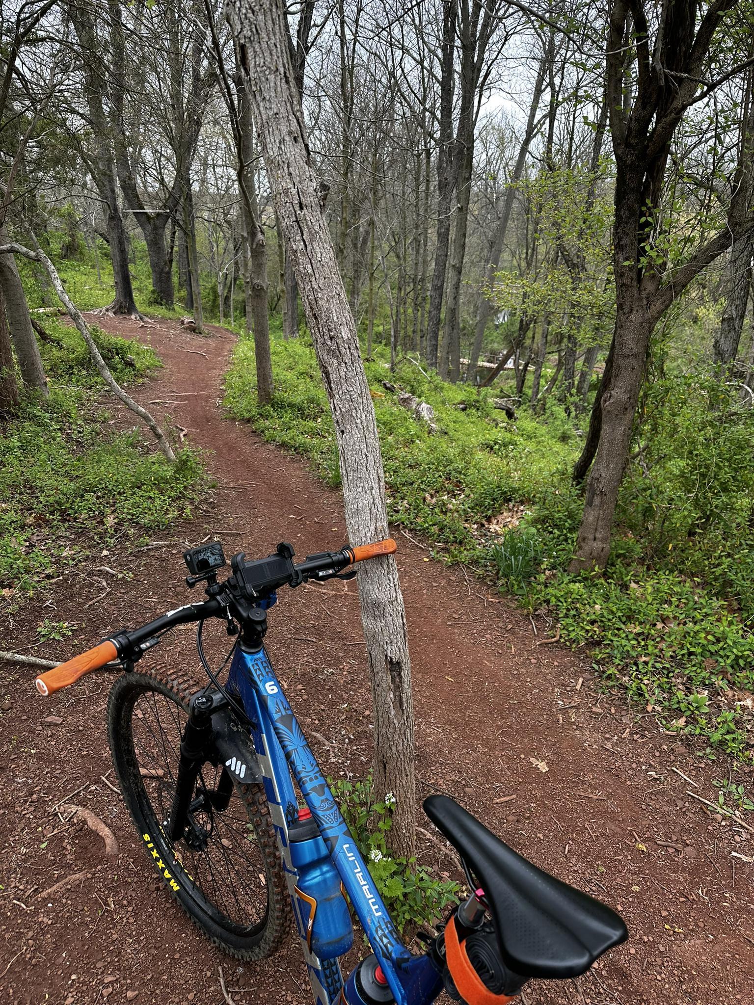 A blue mountain bike rests on a dirt path in a sparse, wooded area.