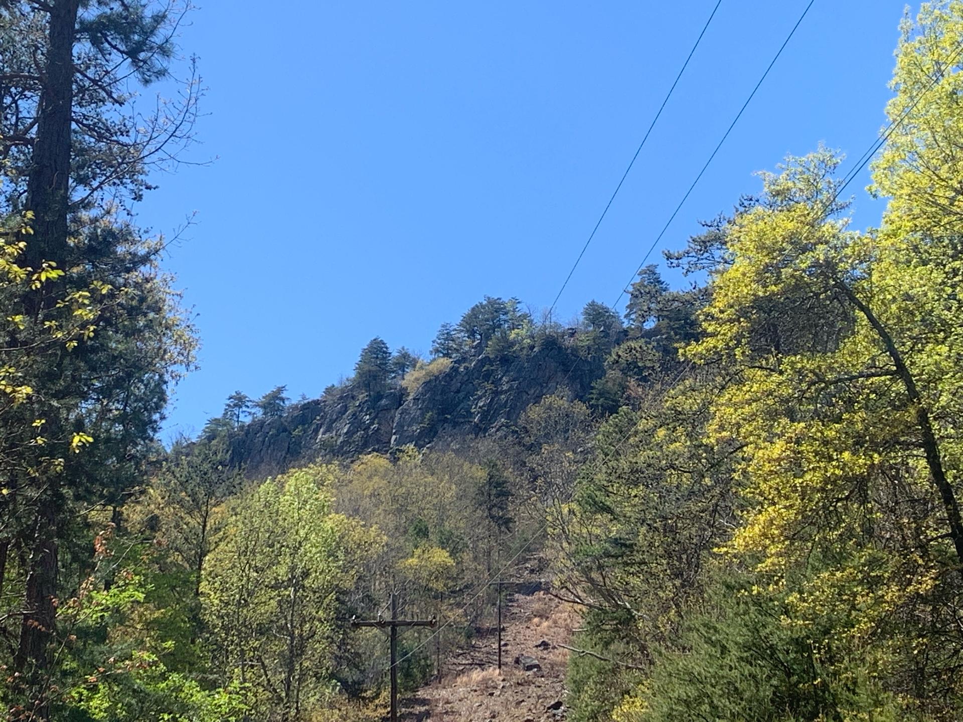 Steep, rocky hillside covered in trees and power lines under a clear blue sky.