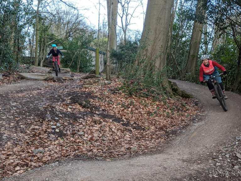 Leigh woods bike trails on sale