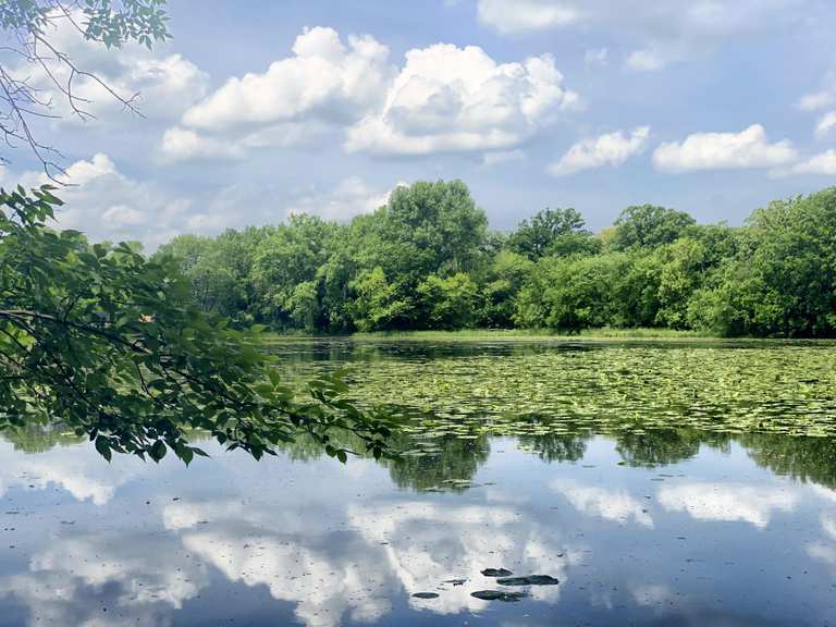 Aquila Park via North Cedar Lake Regional Trail — Nelson Park ...