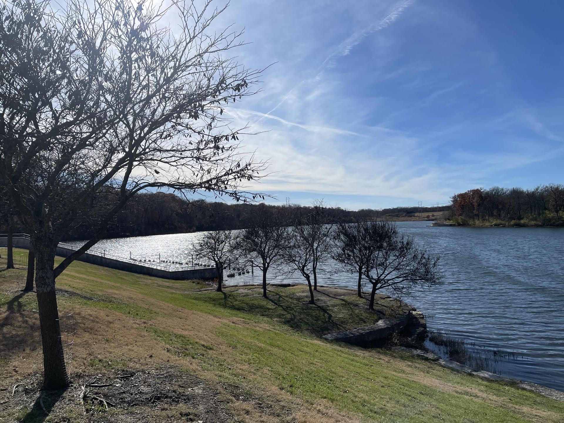 Sunny view of a lake with bare trees and a grassy bank.
