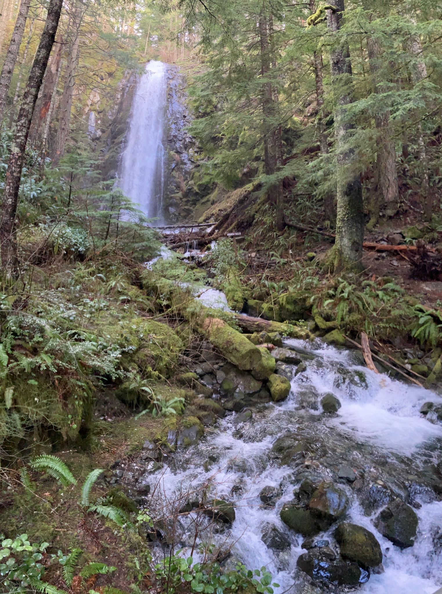 Tall waterfall cascading into a rocky stream in a lush green forest.