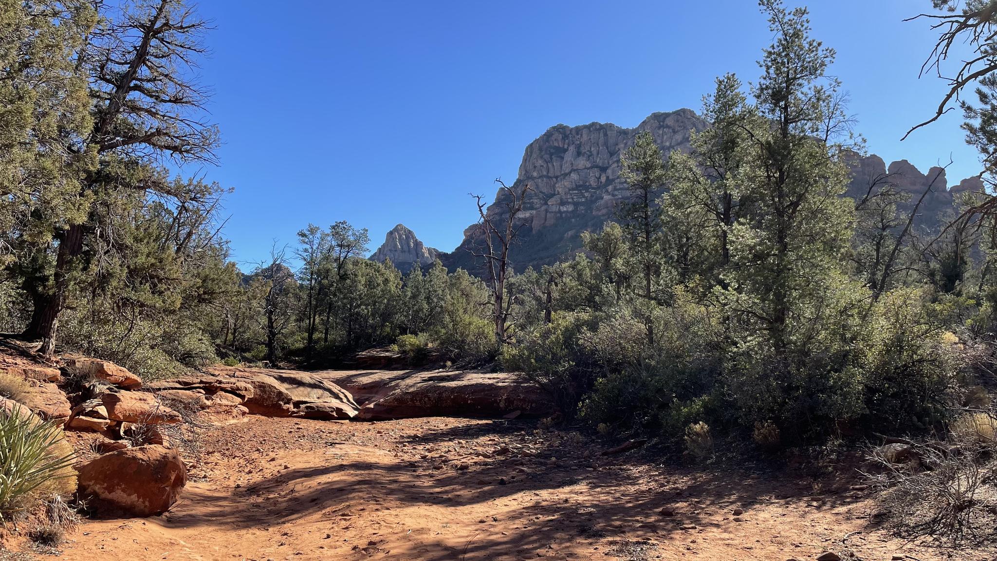 Sunny desert landscape with a dry red path, green trees, and rocky mountains.