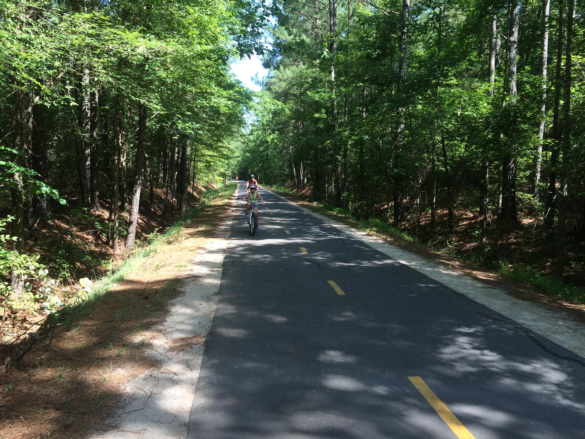 Paved path through dense green forest with a person cycling on a sunny day.