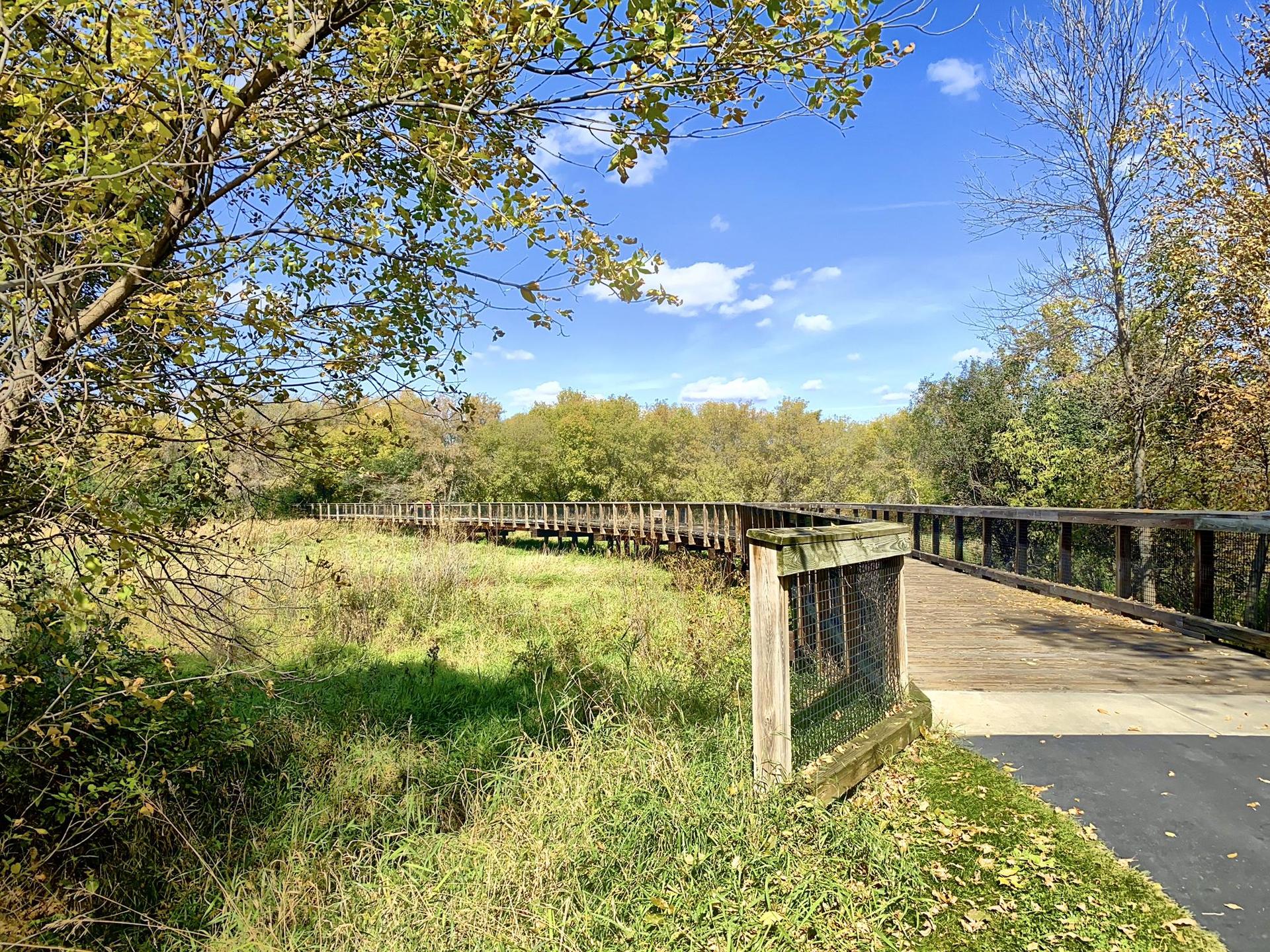 Wooden boardwalk over green marshland under a bright blue sky.