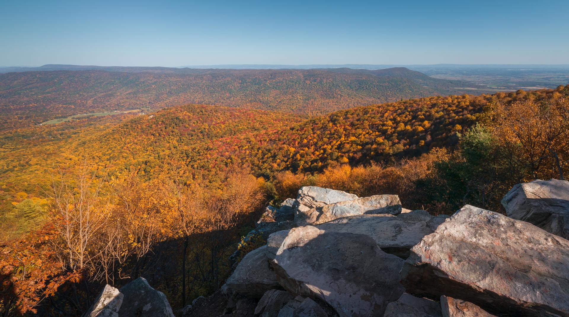 Vast autumn forest landscape with colorful trees and large rocks in sunlight.