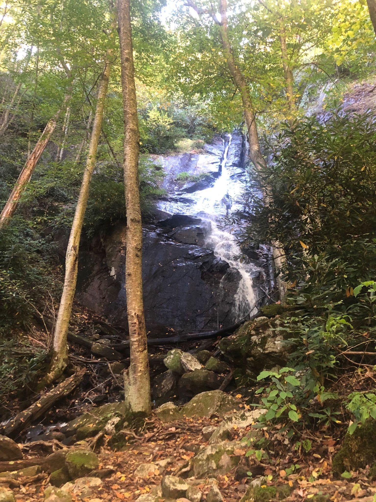 Tall waterfall cascading down rocks in a lush, shaded forest.