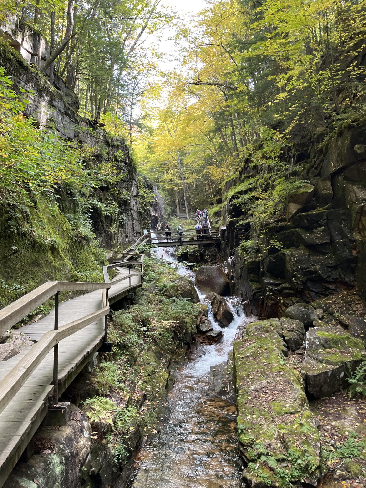 Wooden boardwalk alongside a rocky stream with waterfalls in a lush, autumn gorge.