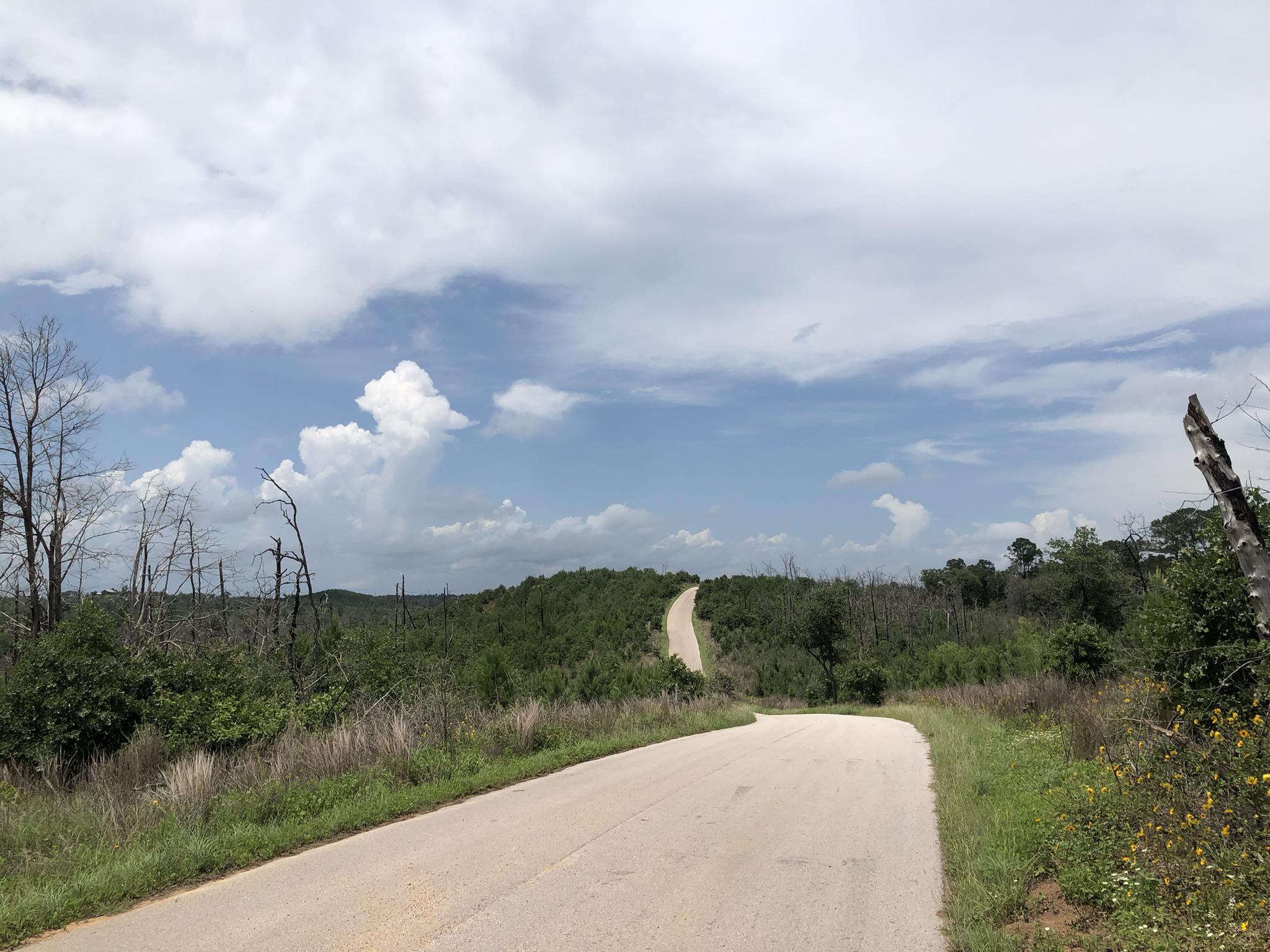 A winding road ascends a green hill under a partly cloudy sky.